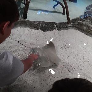 Meet your Posher, Jonathan